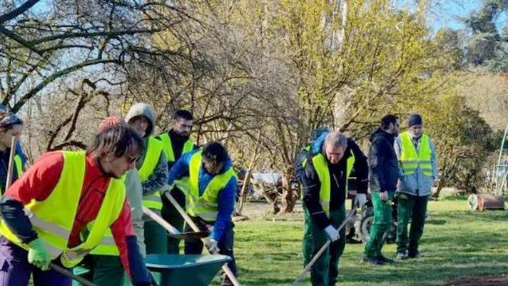 Il contadino “fai da te“. Dalla passione per l'orto alla più grande  community di amici dal pollice verde