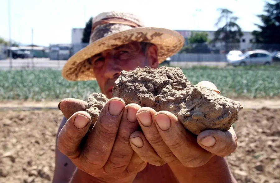 Oggi è la giornata mondiale della meteorologia: il Nord Italia teme "l'effetto deserto"