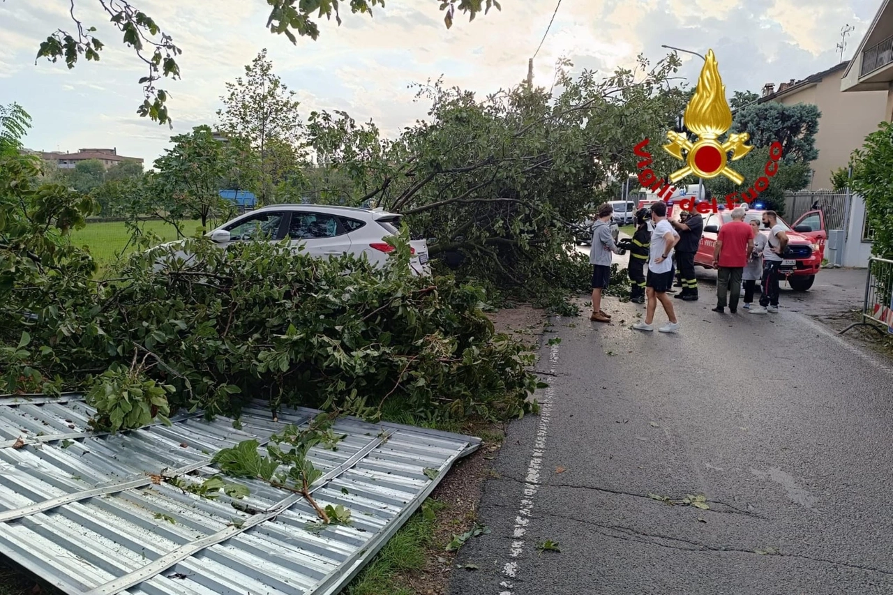 Maltempo: tromba d'aria nel Milanese, alberi caduti e danni