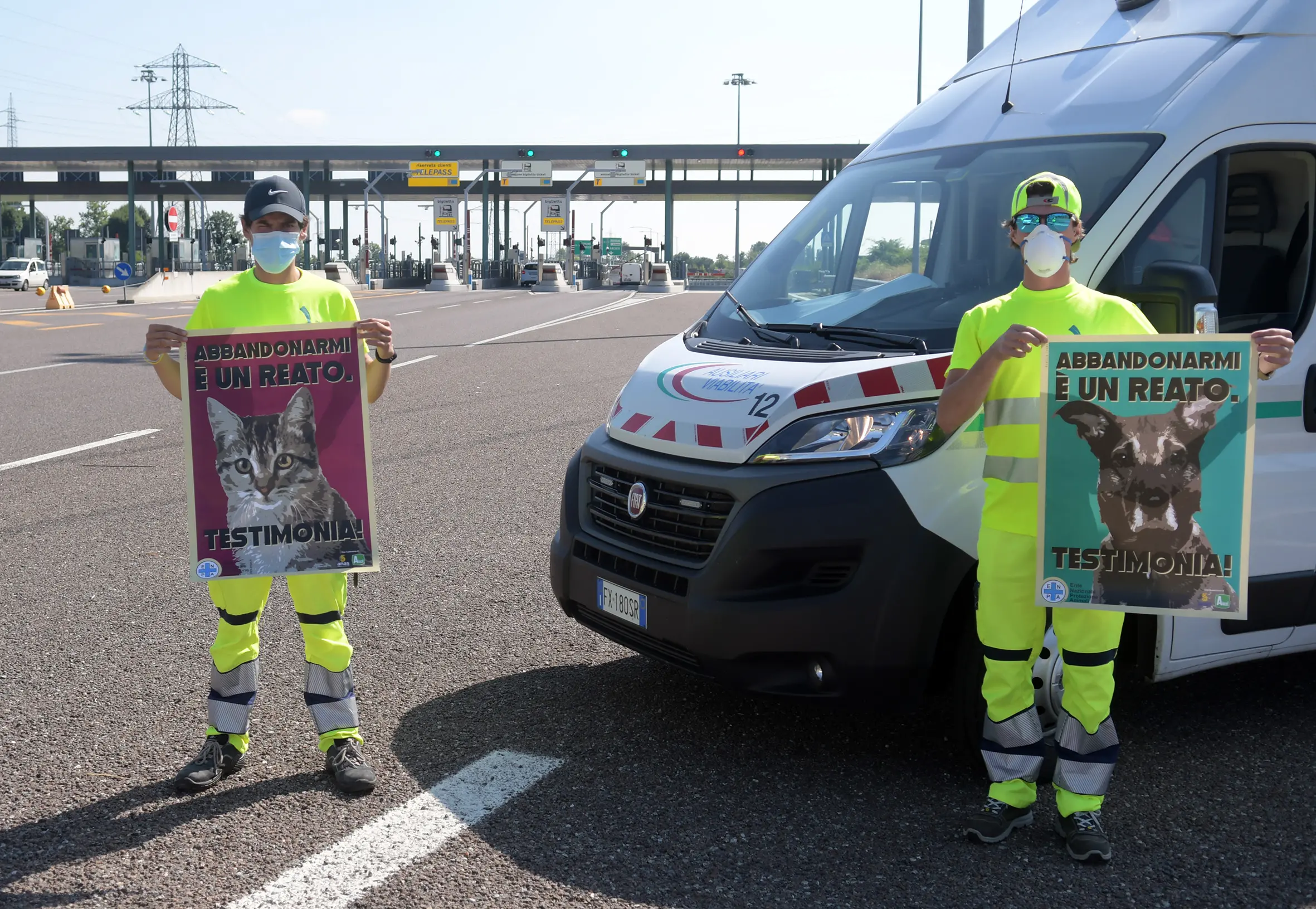 "Non abbandonate gli animali in autostrada", la Teem aumenta i controlli