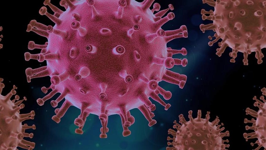 Coronavirus