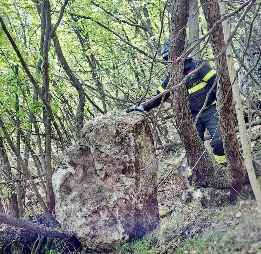 Massi caduti: semaforo verde Frontalieri salvi