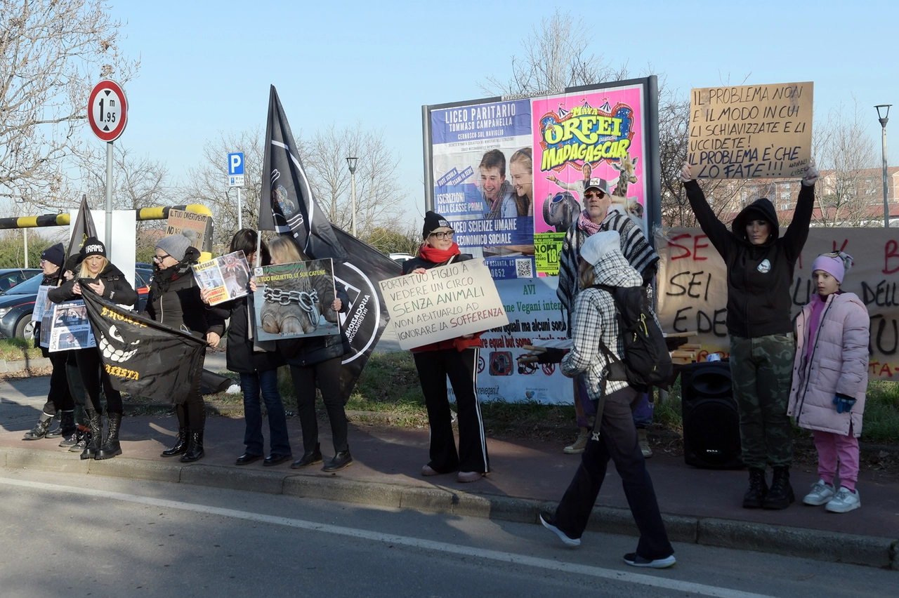 La protesta degli animalisti