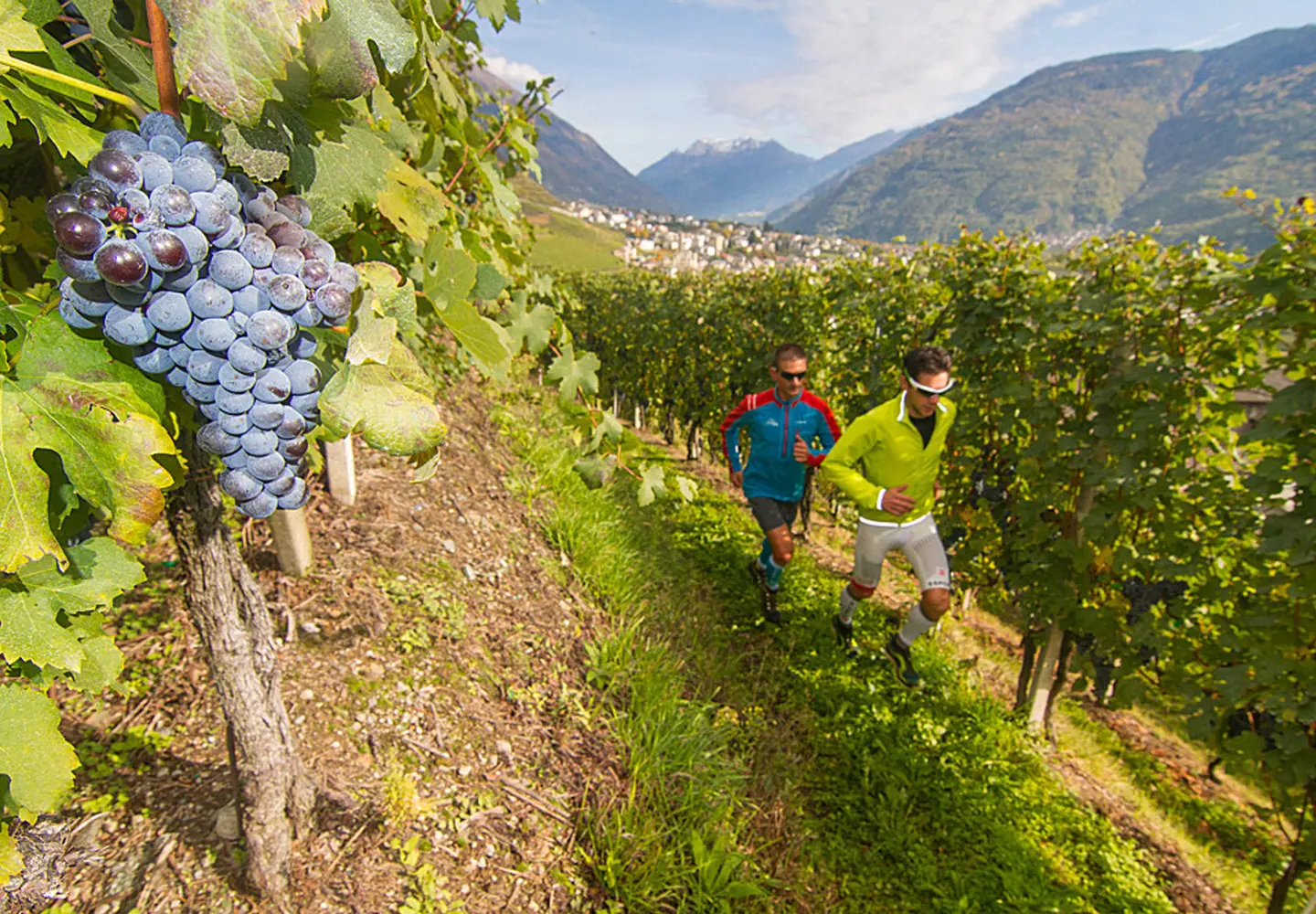 La Valtellina inaspettata: quel profumo di libertà tra vigne, vicoli e Storia