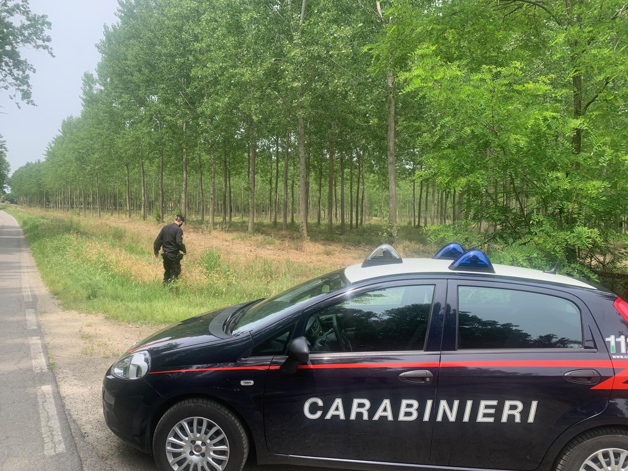 Massalengo Brucia Sterpaglie E D Fuoco A Un Bosco Protetto Denunciato