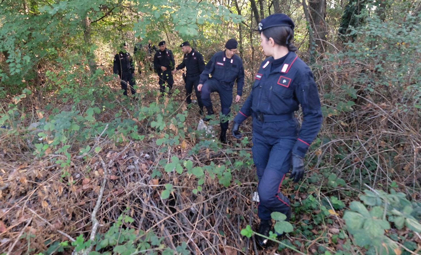 Retata Nel Bosco Della Droga In Manette Nelle Groane