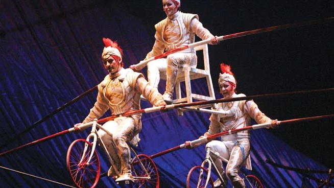 Il circo contemporaneo