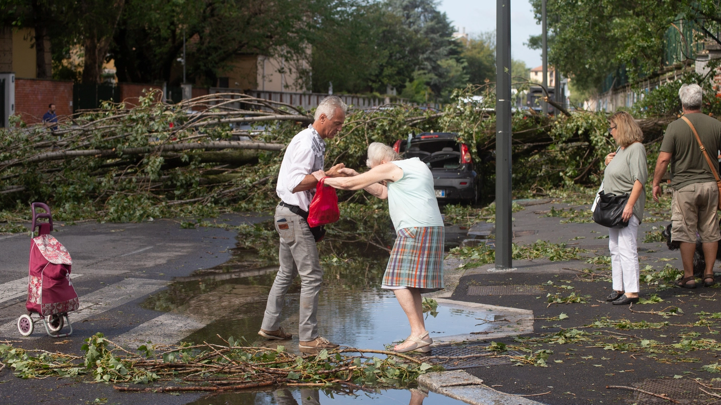 Strada allagata e alberi abbattuti in via Tonezza, nel quartiere Primaticcio a Milano