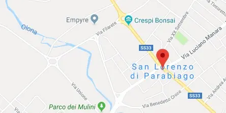 Strage di pesci nel fiume Olona