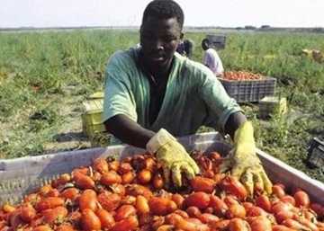 Stranieri e lavoro: dalla Lombardia 1,8 miliardi di euro inviati alle famiglie ogni anno