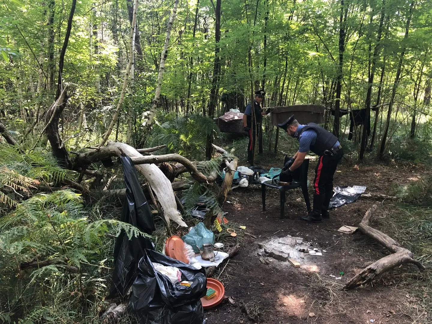 Parco delle Groane, lotta allo spaccio sul modello del boschetto della droga di Rogoredo