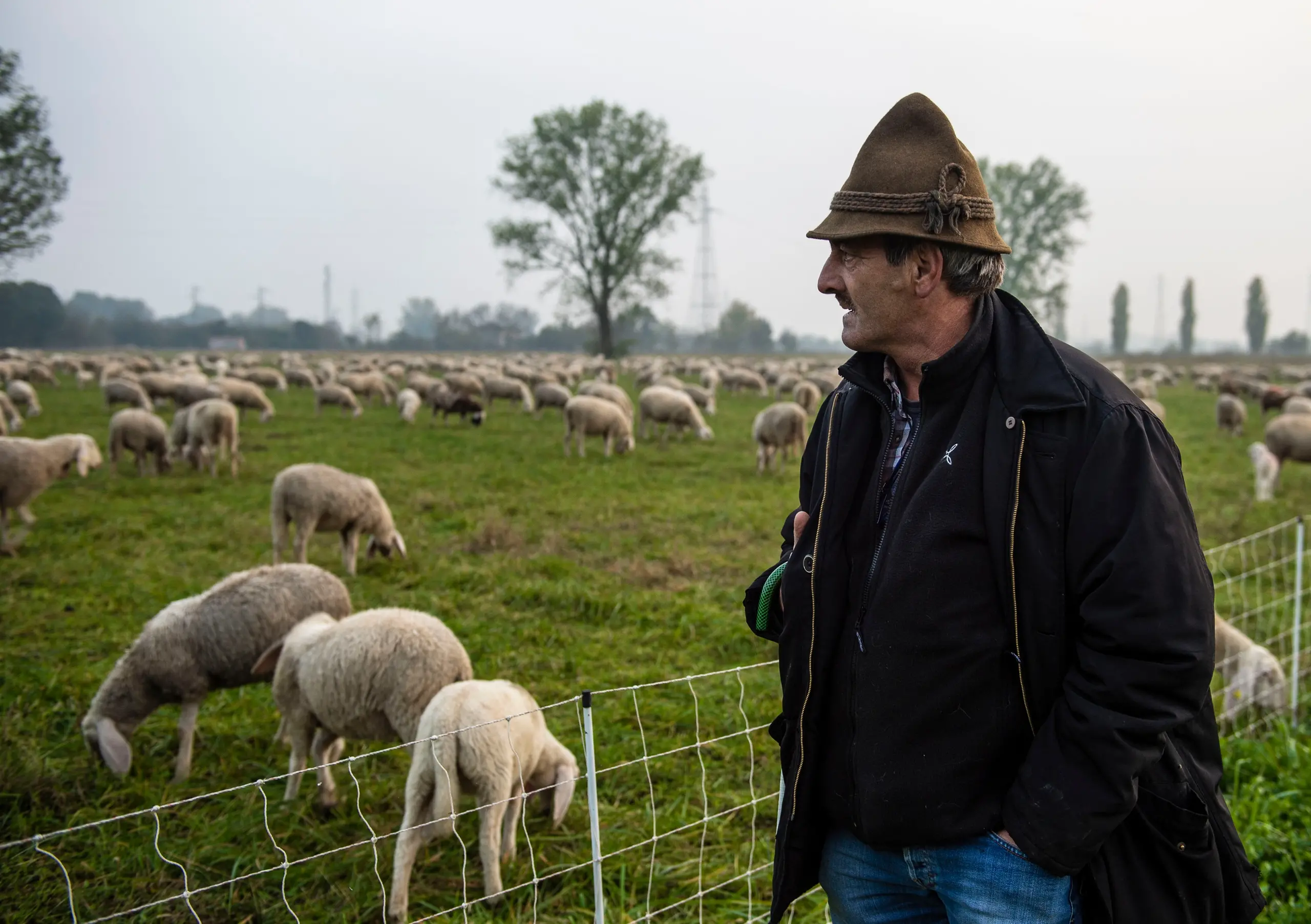 Dalla Bergamasca a Milano, il pastore Giuseppe e la sua vita insieme alle pecore/ FOTO