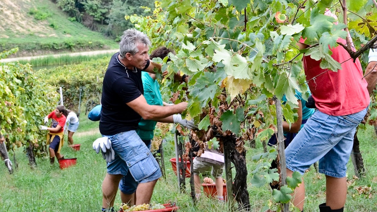 Terza area d’Italia dopo Chianti e Astigiano ma serve cambiare passo. Spinta al turismo, patto istituzioni-imprese: tesoro da valorizzare