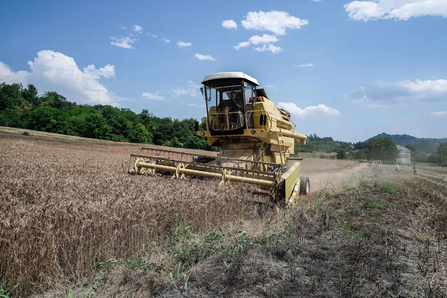 Grano: l'Ucraina riapre i porti fluviali sul Danubio, i russi distruggono i raccolti