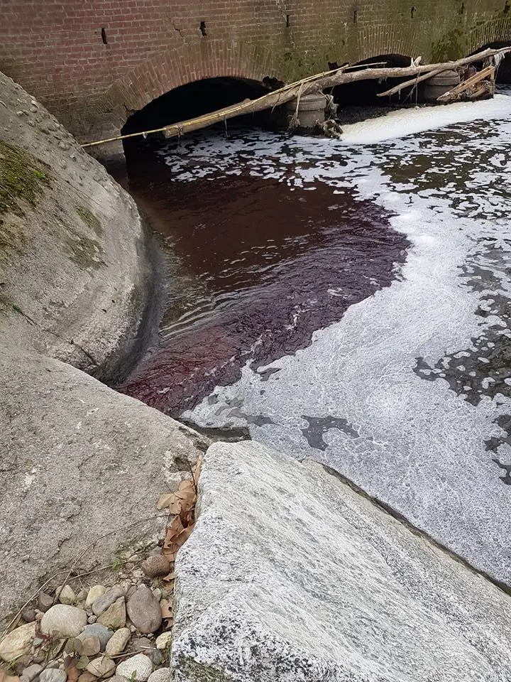 Olona rosso? Colpa della tintoria