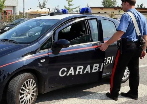 Milano, aggredito da cagnolino, lo lancia in strada: denunciato