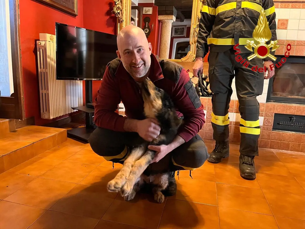 S.Angelo, cane resta intrappolato nel cancello con la testa: liberato dai vigili del fuoco