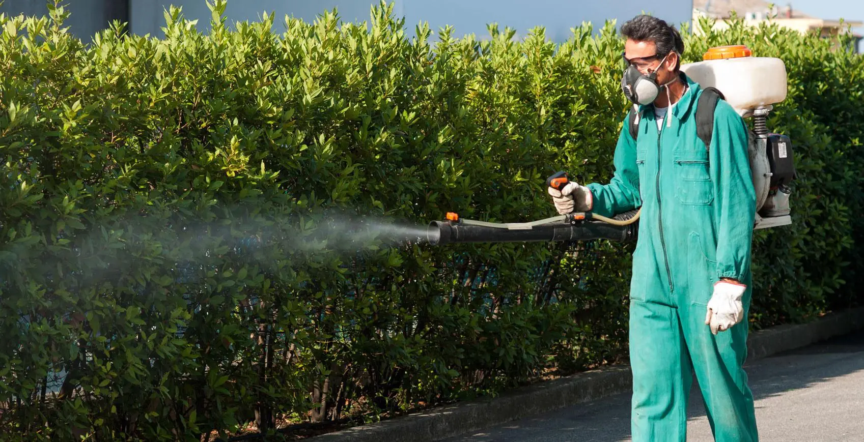 Due casi di febbre Dengue Scattano le disinfestazioni