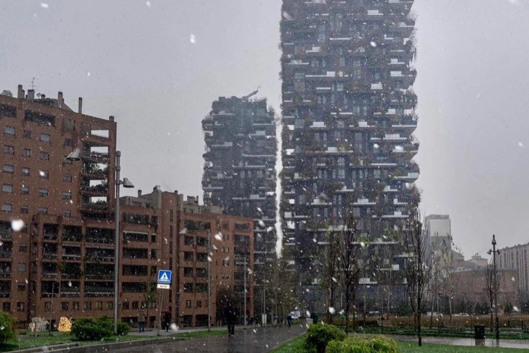 Neve al bosco verticale