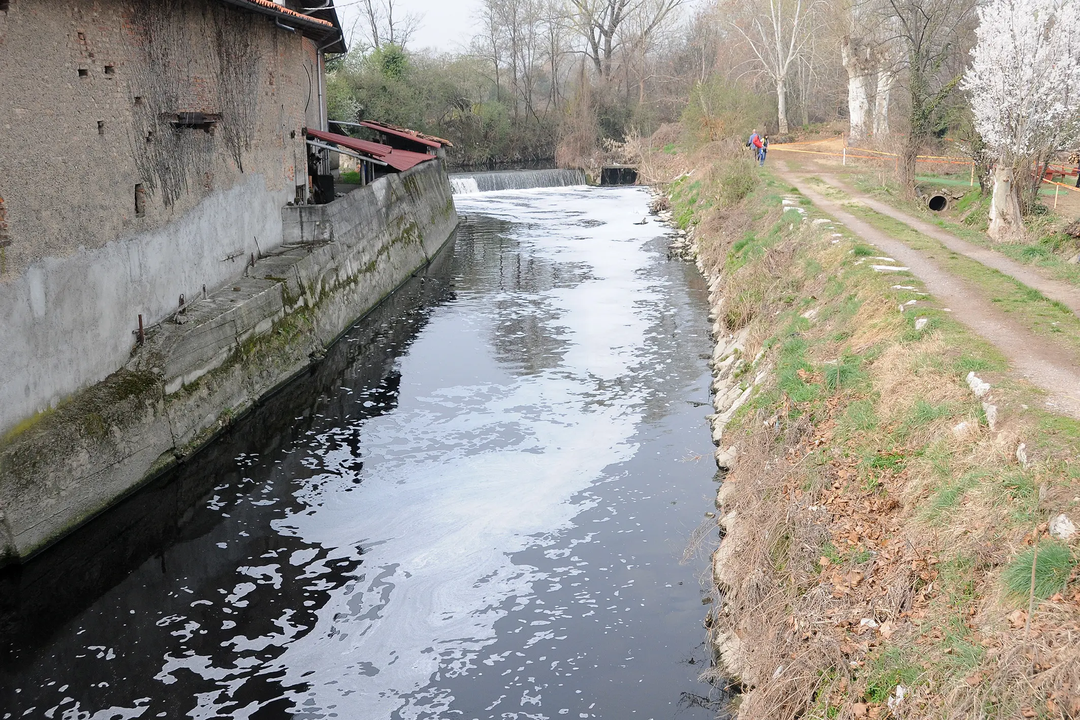 Olona ancora malato, torna la schiuma