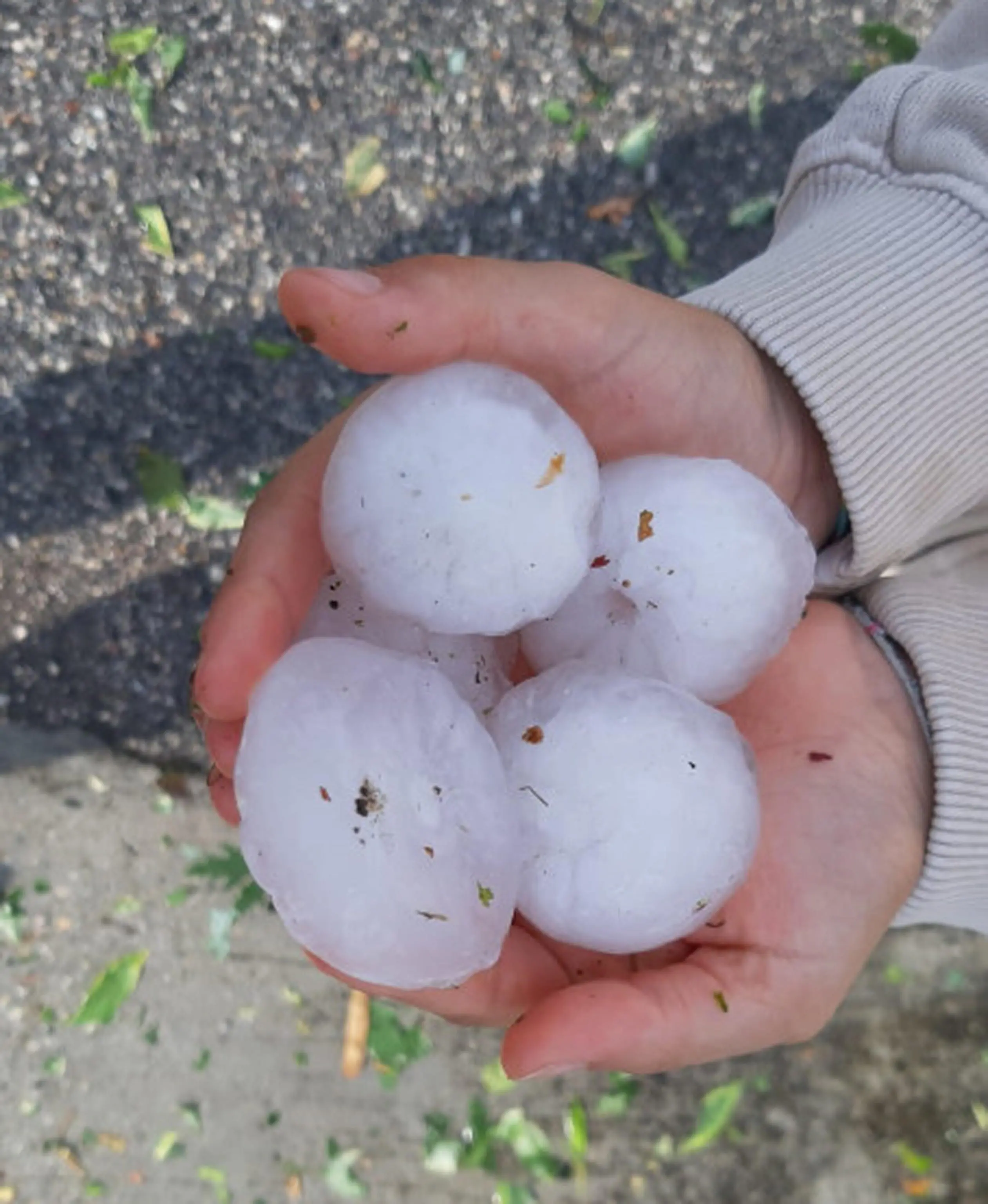 Gonzaga, bomba d'acqua e grandine: ingenti danni