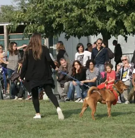 Benedizione e sfilata del cane fantasia a Monza