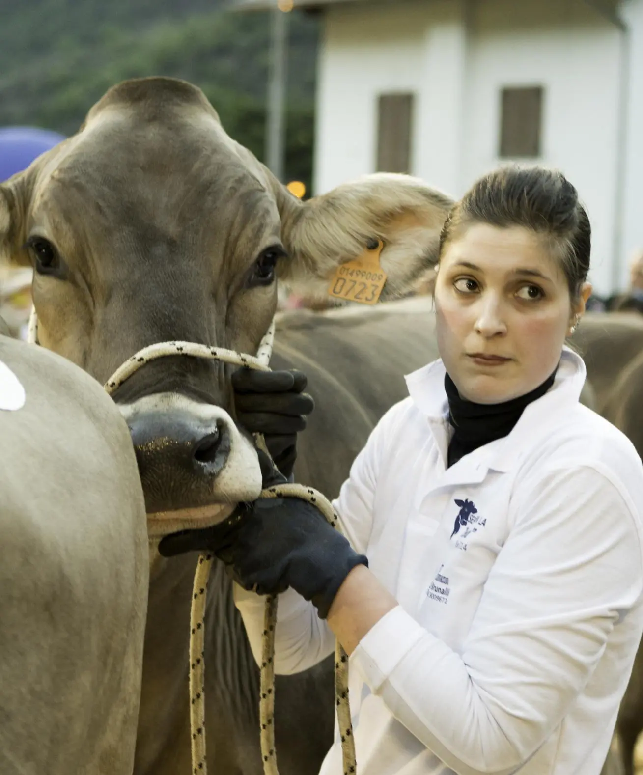 Sondrio, agricoltura: imprese giovani crescono