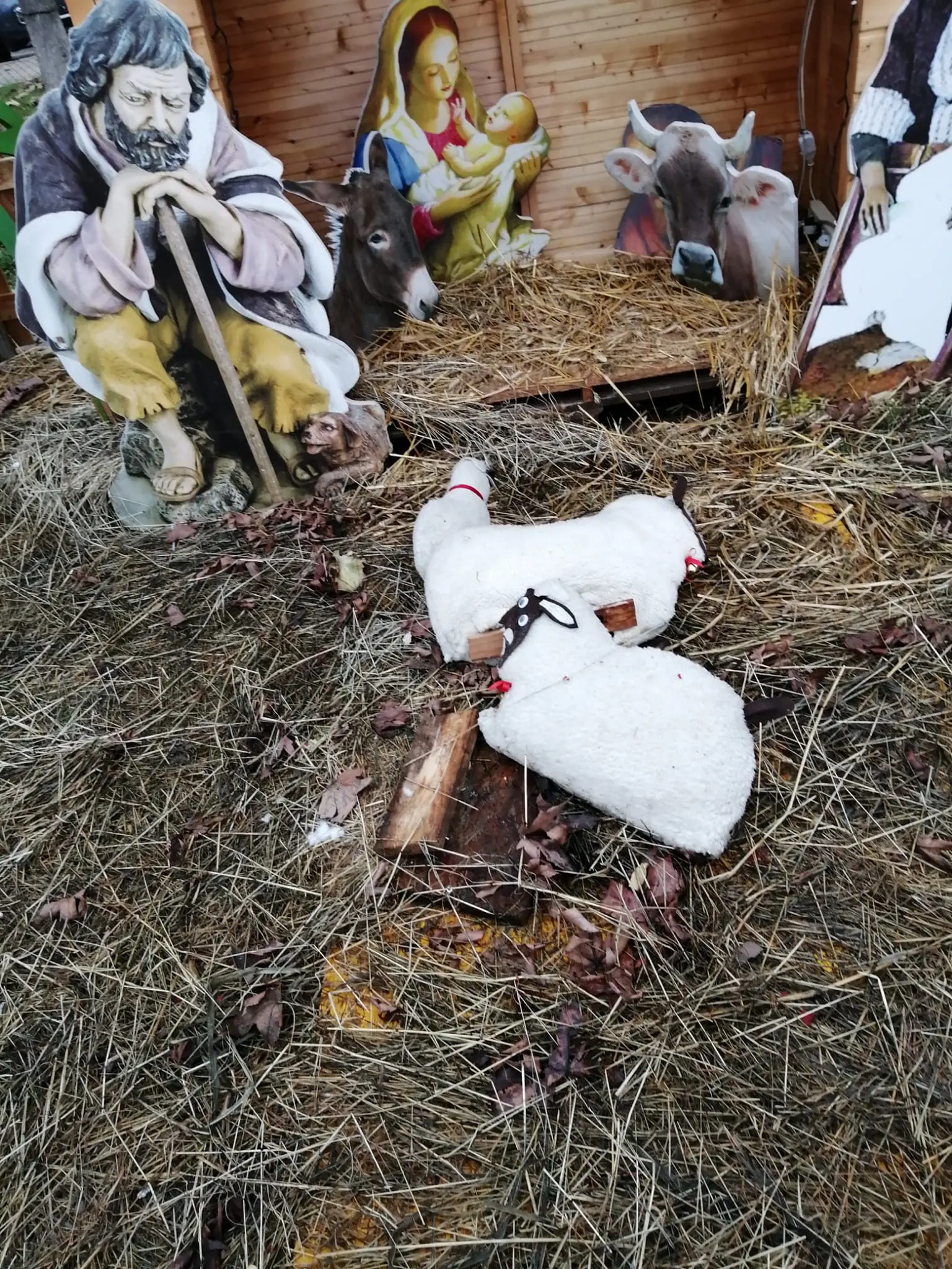 Parabiago, vandalizzato il presepe in piazza Maggiolini. Caccia ai responsabili