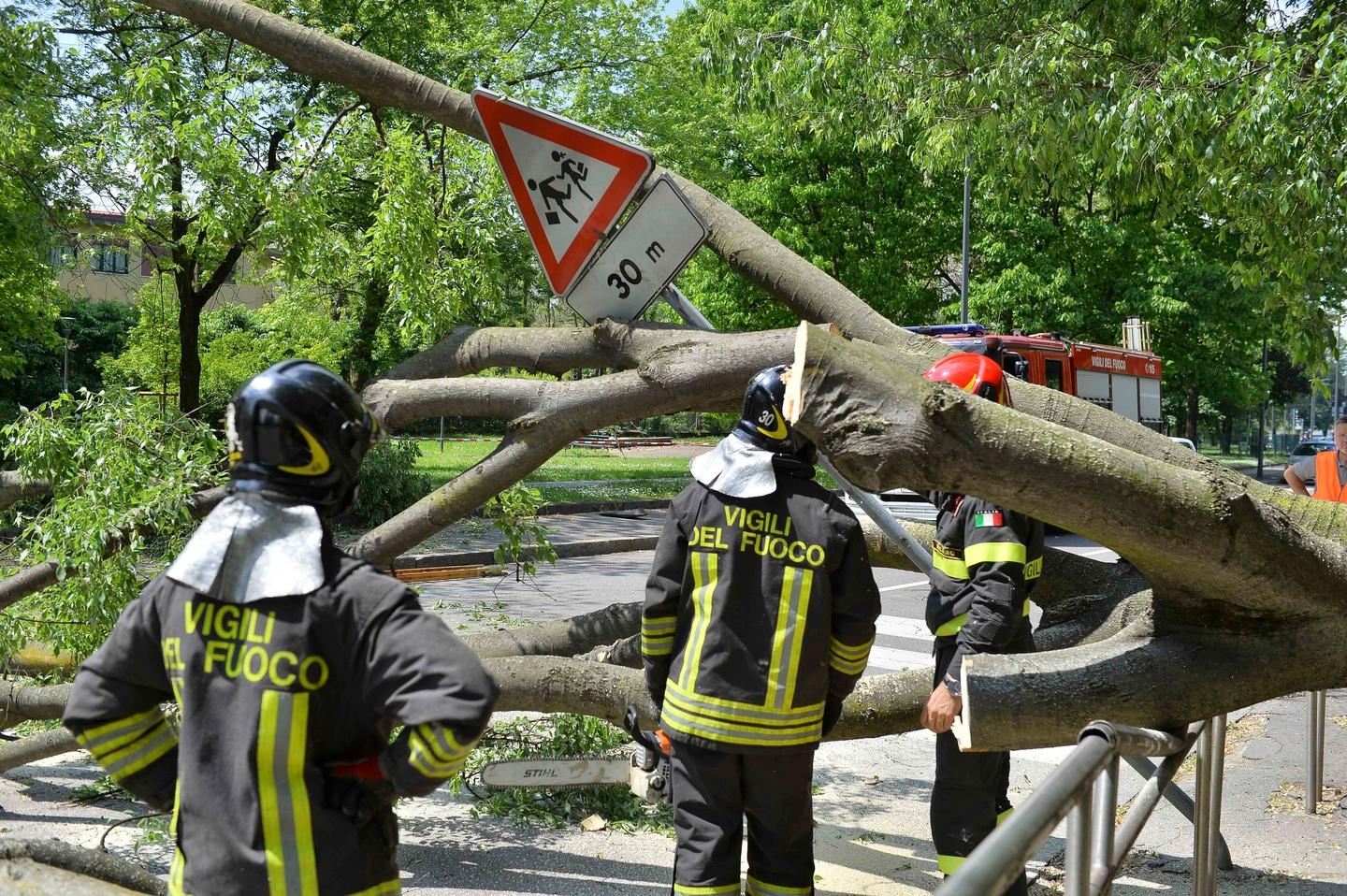 Milano Cade Grosso Albero Sulla Strada In Via Terzaghi VIDEO