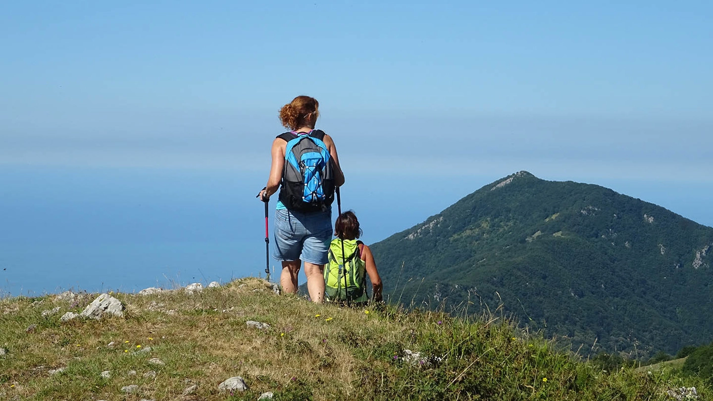 La puntura delle zecche può essere molto pericolosa per l’uomo