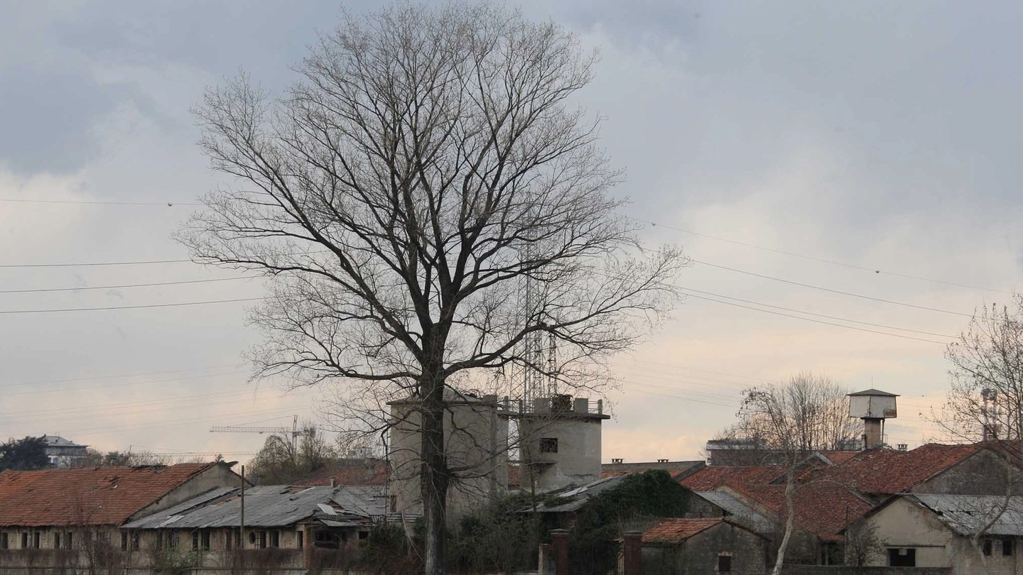 Restano i campi alla Cascinazza