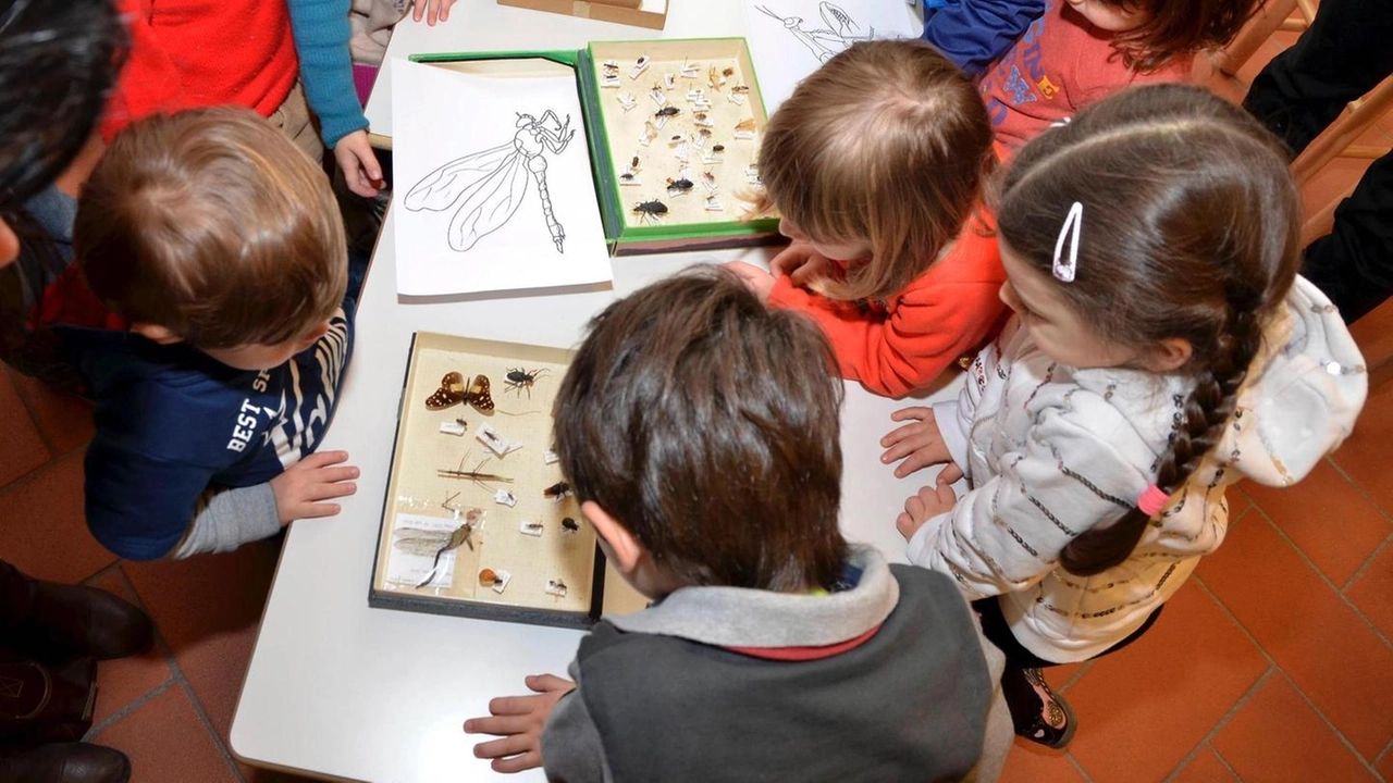 Biblioteca con bambini (Foto archivio)