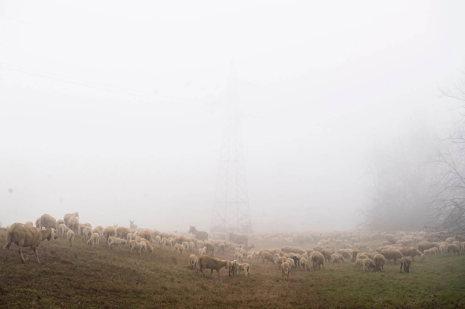 immagine di sfondo 7