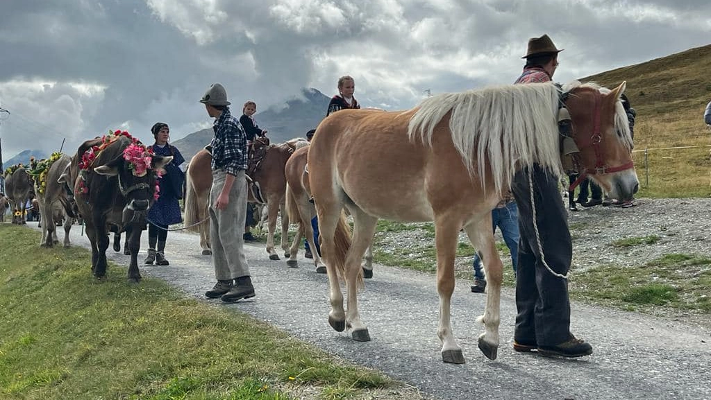 Sondrio, finita l'estate c'è voglia di vacanze d’autunno: ecco gli appuntamenti in Valtellina e Valchiavenna