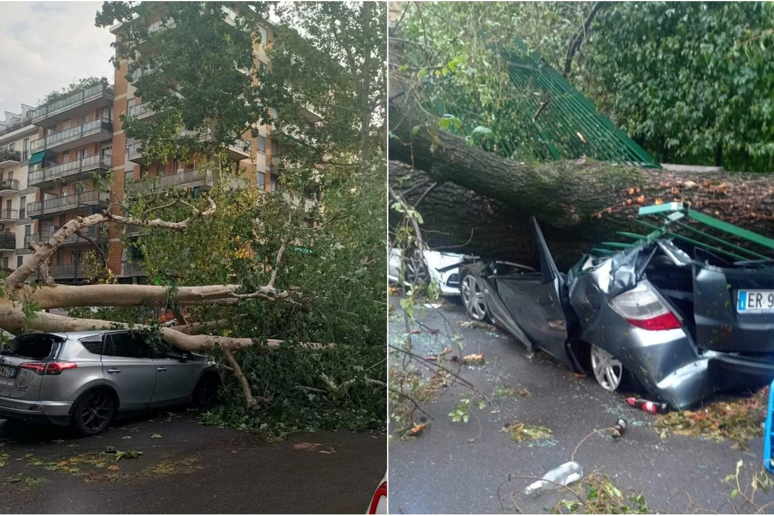 Auto distrutte dagli alberi a Milano