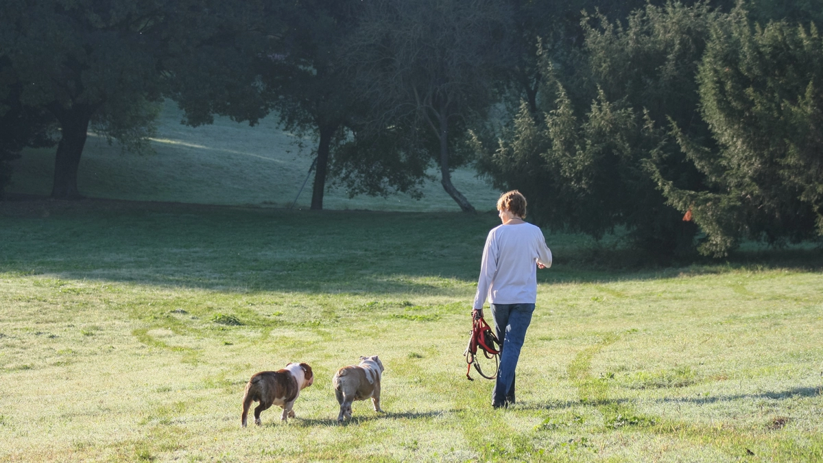 Passeggiata al parco (Foto L.Gallitto)