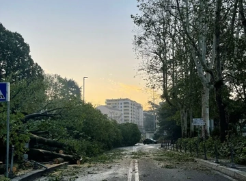 Maltempo nel Saronnese: tetti scoperchiati e piante cadute a terra