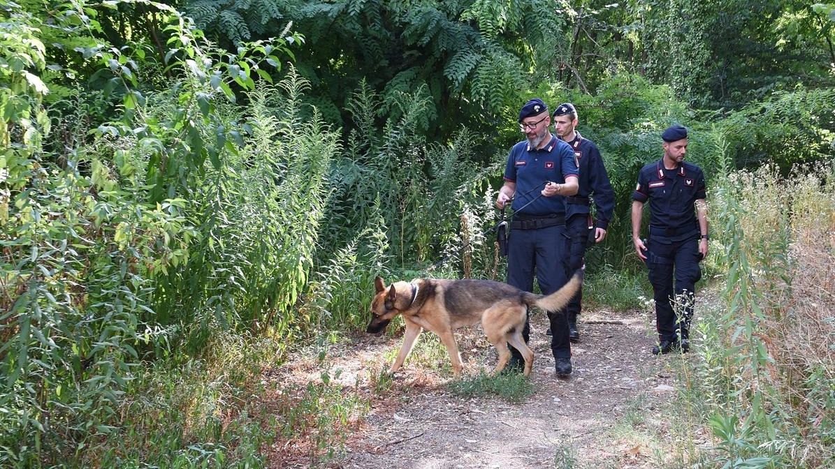 Spacciatori in riva al fiume. Le sbarre per fermarli