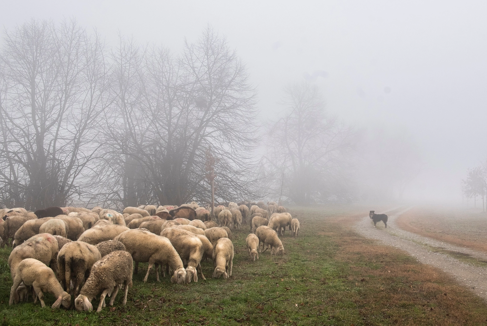 immagine di sfondo 5