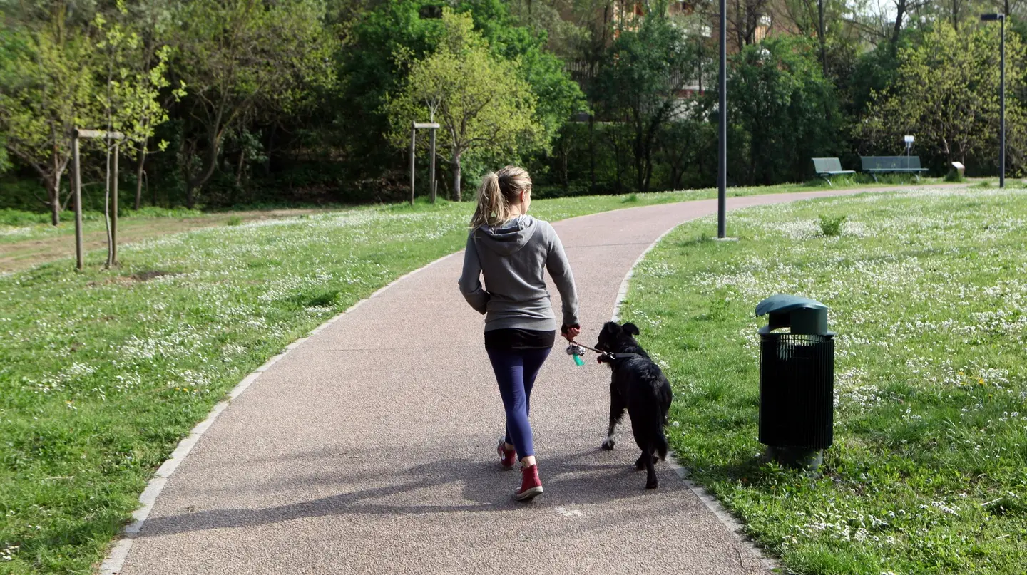 Il cagnolino di Laura: quando la pipì era "necessità"