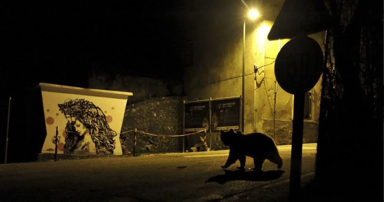 Milano, il Grande Fratello degli animali (in libertà)