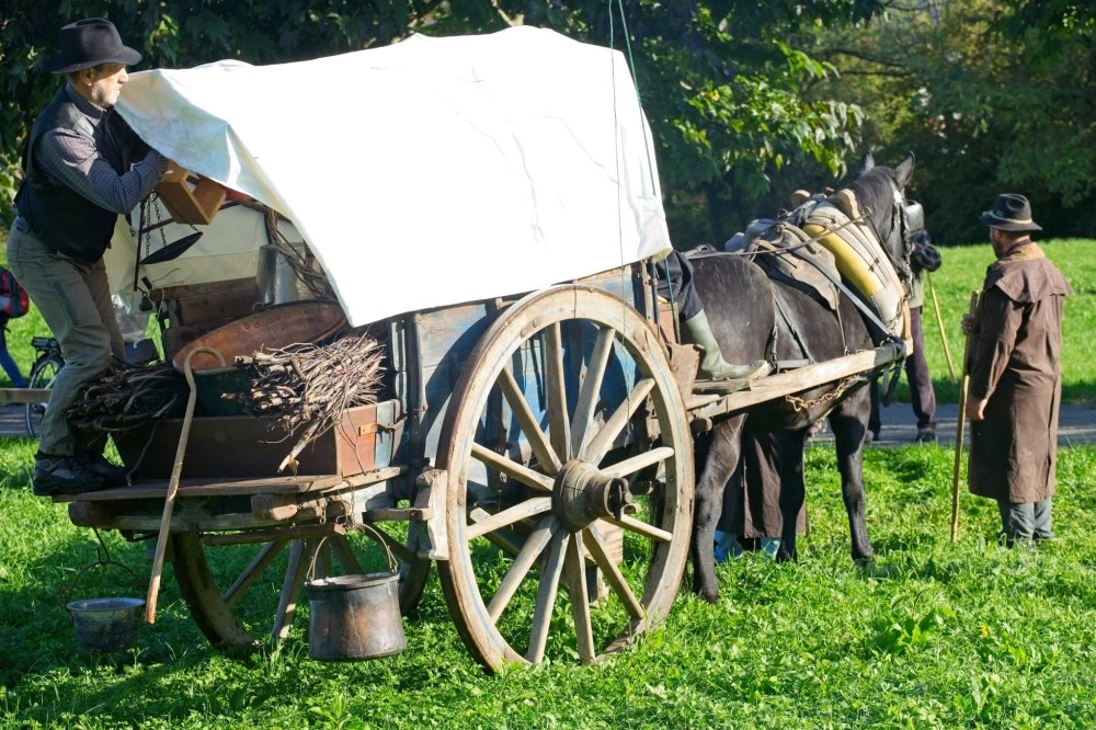 Carretto della transumanza