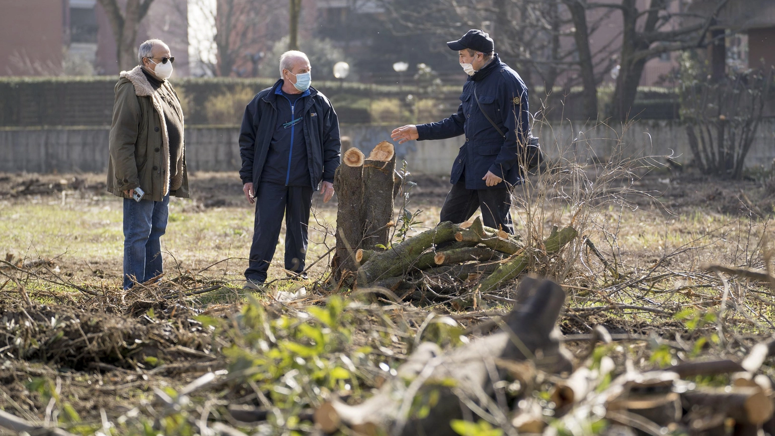 Alberi abbattuti nel parco della Bergamella a Sesto San Giovanni