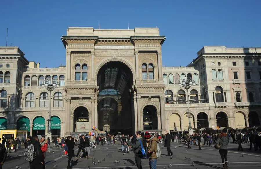 Consigliera in Regione: "I piccioni invadono le città, un pericolo per Milano"