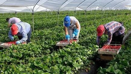 Puntare sul nuovo Pgt. Lavoro e ospitalità : "A Trezzo il futuro dovrà essere verde"