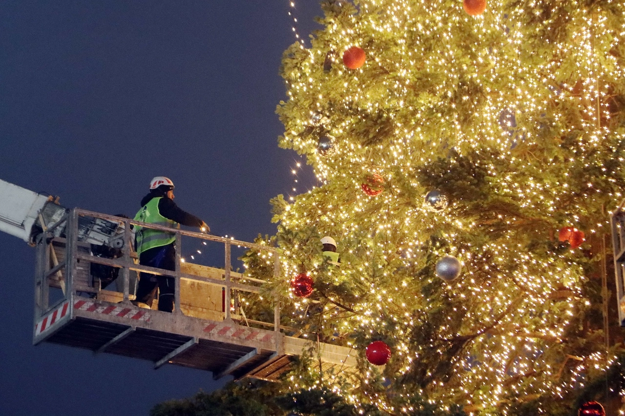 Operaio al lavoro per allestire l'albero in piazza Duomo