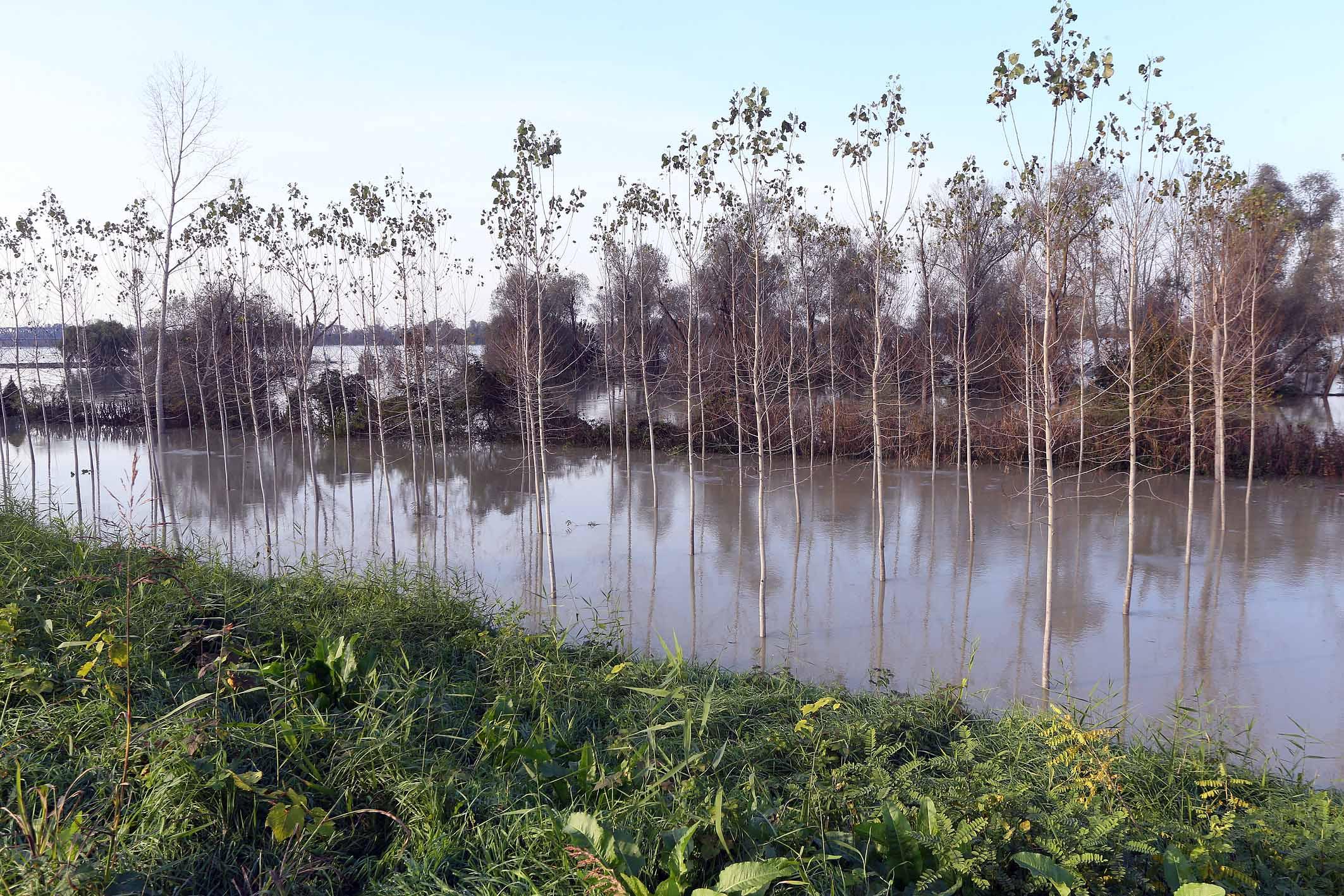 Maltempo Evacuate 120 Persone Per La Piena Del Po A Borgoforte