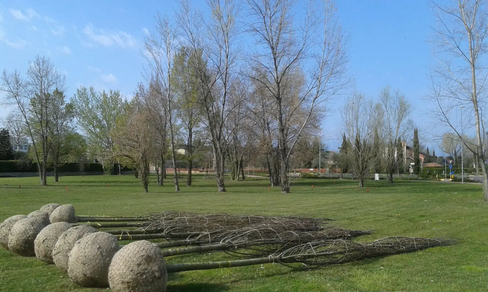 Sirmione, fiorisce il parco Montello: ecco 150 alberi