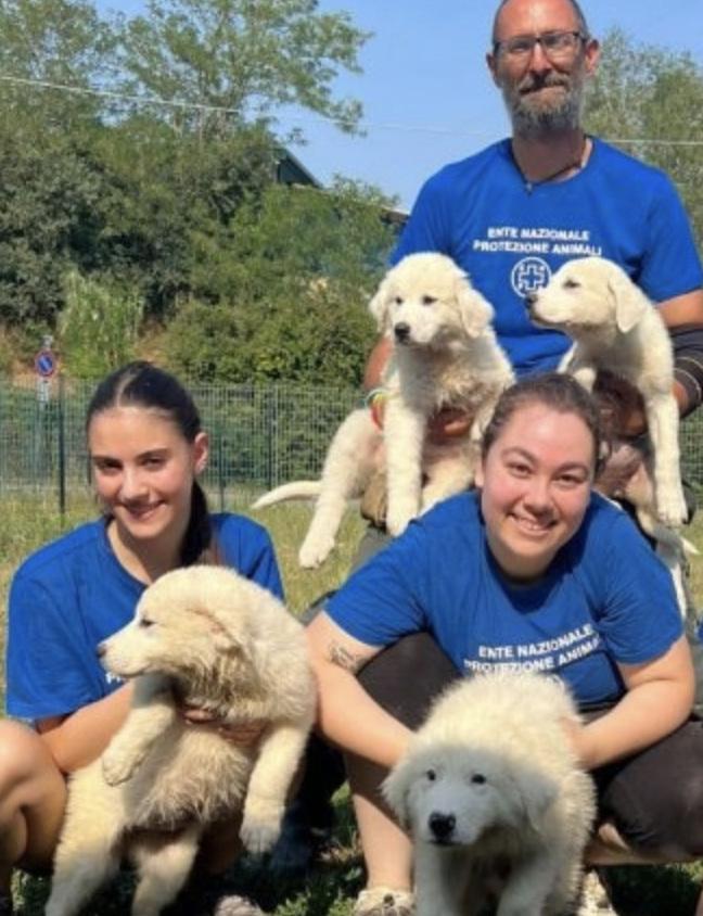 Monza, dopo il boom di adozioni nel lockdown la crisi torna a riempire il  canile Enpa