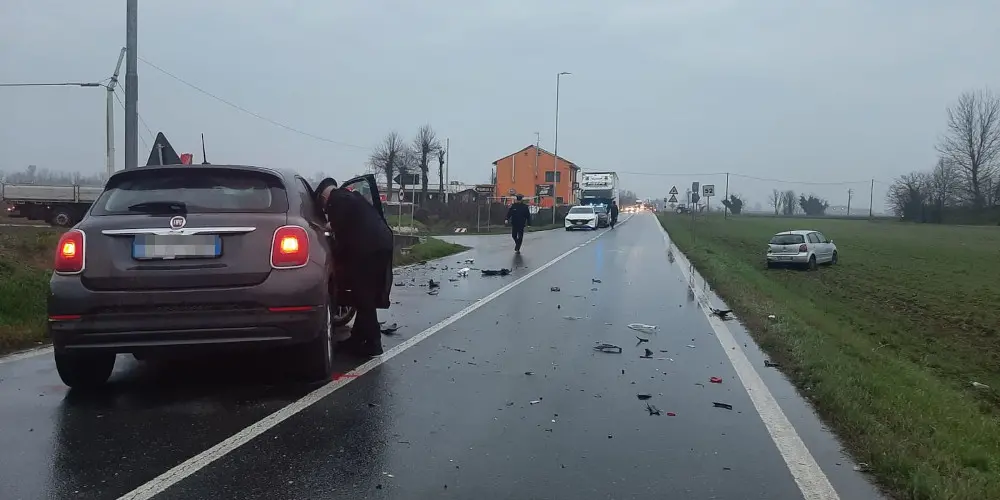 Fleximan colpisce a Cremona: abbattuto l'autovelox di Martignana di Po